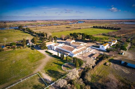 le sauvage - domaine en camargue|Plages Bouches.